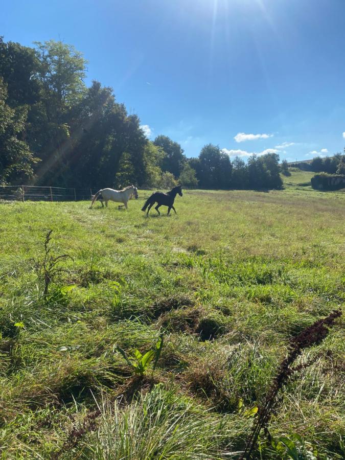 Chez Sophie -Chambres D'Hotes, Gite Et Gite Equestre Clermont-Dessous 外观 照片